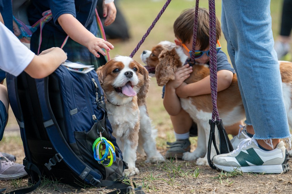 Blessing of the Pets